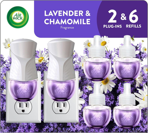 Plug starter kit lavender - starter,
