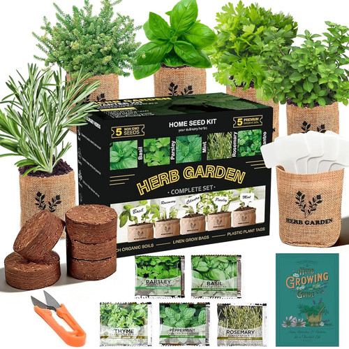 Herb indoor starter - herb,