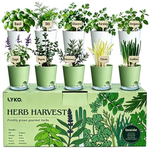 Indoor herb garden - 10, kit