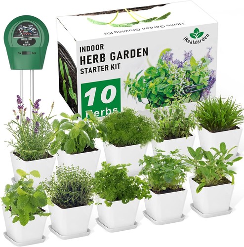 Herb garden kit indoor - herb,