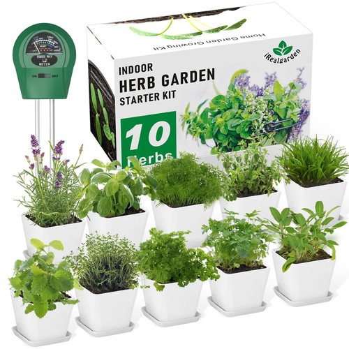 Herb garden kit indoor - herb,